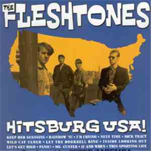 The Fleshtones - Hitsburg USA! flac album