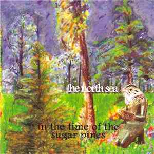 The North Sea - In The Time Of The Sugar Pines flac album