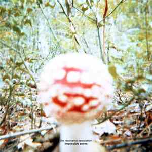 The Resonance Association - Impossible Aeons flac album