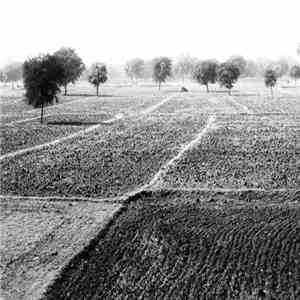 Tom Day - Crossroads flac album