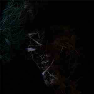 Tongue Dynasty - Dreggs flac album