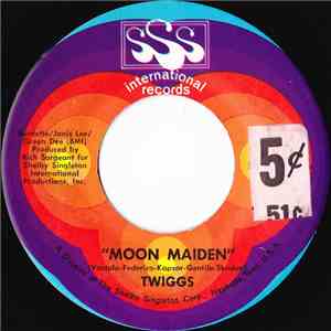 Twiggs - Moon Maiden flac album