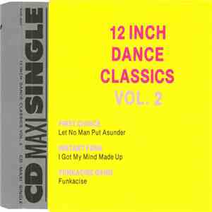 Various - 12 Inch Dance Classics Vol. 2 flac album