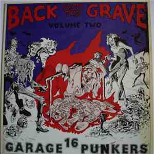 Various - Back From The Grave Volume Two flac album