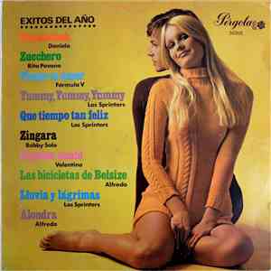 Various - Exitos Del Año flac album