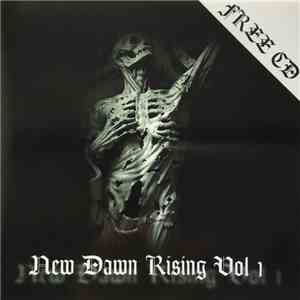 Various - New Dawn Rising Vol. 1 flac album