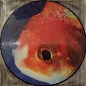 Vince Staples - Big Fish Theory flac album