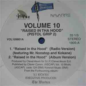 Volume 10 - Raised In The Hood flac album