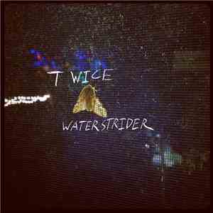 Waterstrider  - Twice (Little Dragon Cover) flac album