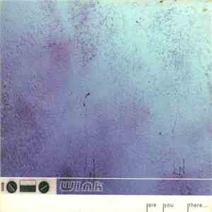 Wink - Are You There... flac album