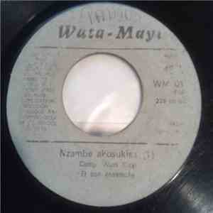 Wuta Mayi Et Son Ensemble - Nzambe Akosukisa flac album