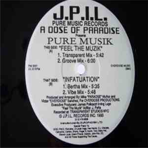A Dose Of Paradise - Pure Musik flac album