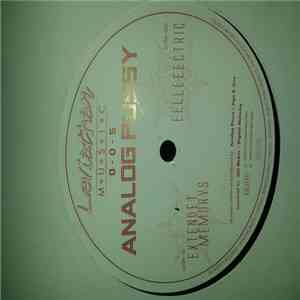 Analog Pussy - Extendet Memorys / Eelleeectric flac album
