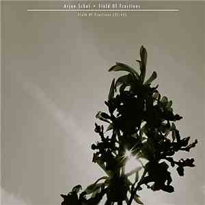 Arjen Schat - Field Of Fractions flac album