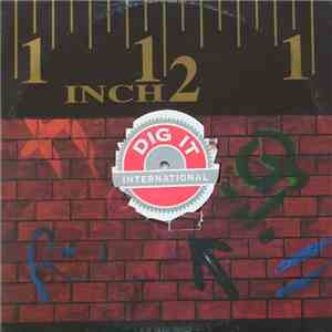 Bass Bumpers - Good Fun (Remix) flac album