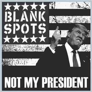 Blank Spots - Not My President flac album