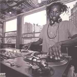 Damu The Fudgemunk - Public Assembly flac album