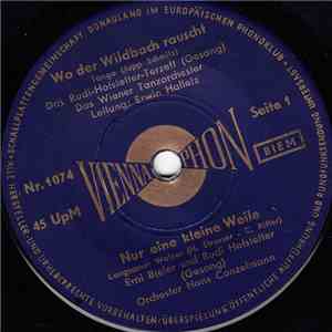 Das Rudi Hofstetter-Terzett / Erni Bieler Und Rudi Hofstetter - Wo Der Wildbach Rauscht / Nur Eine Kleine Weile / Weißer Schleier, Grüne Myrthen / Die Wilden Rosen Blühn flac album
