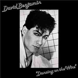 David Benjamin  - Dancing On The Wire flac album