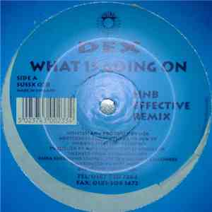 DEX - What Is Going On flac album