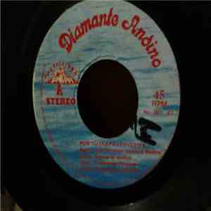 Diamante Andino - Por Tu Culpa Cervezita flac album