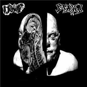 Drochills, СРАНЪ - Drochills / СРАНЪ (Split 2019) flac album