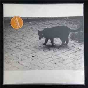 Gone To Waste - Barking Dogs Don´t Bite flac album