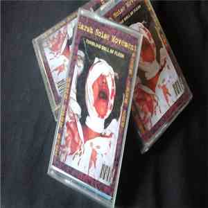 Harsh Noise Movement - A Soundtrack For Niku Daruma flac album