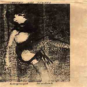 Homogenized Terrestrials - Moths Are Stupid flac album