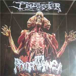 Infester  / Fermentative - Split flac album