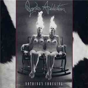 Jane's Addiction - Nothing's Shocking flac album