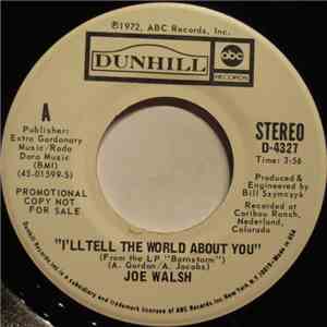 Joe Walsh - I'll Tell The World About You flac album