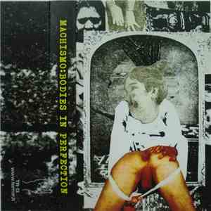 Machismo  - Bodies In Perfection flac album