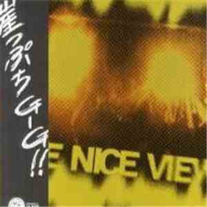 Nice View - Live Nice View flac album