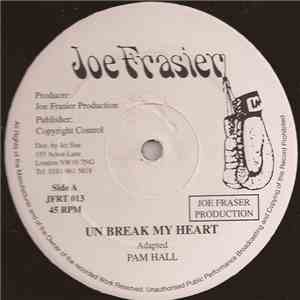 Pam Hall - Un Break My Heart flac album