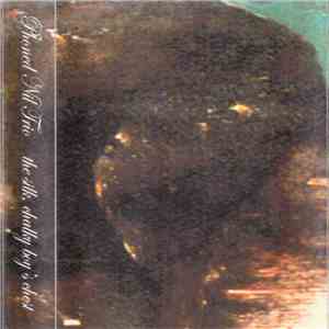 Phoned Nil Trio - The Silk Chalky Boy's Chest flac album