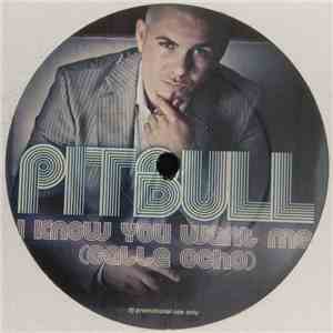 Pitbull - I Know You Want Me (Calle Ocho) flac album