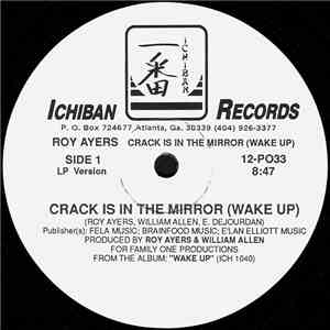 Roy Ayers - Crack Is In The Mirror (Wake Up) / Spirit Of Dodo 89 (Special 12" Version) flac album