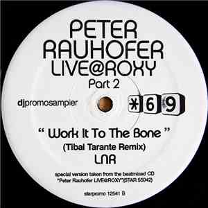 Sal Dano / LNR - Peter Rauhofer Live @ Roxy Part 2 flac album
