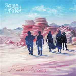 Shook Twins - Some Good Lives flac album