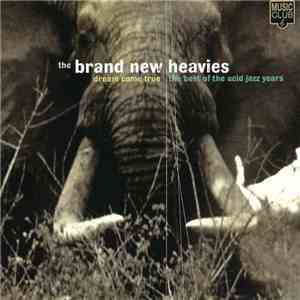 The Brand New Heavies - Dream Come True flac album