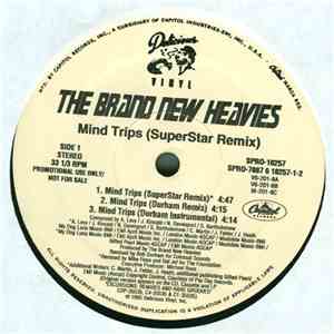 The Brand New Heavies - Mind Trips (SuperStar Remix) flac album