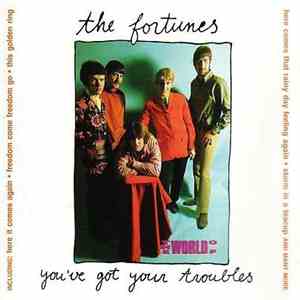 The Fortunes - You've Got Your Troubles flac album