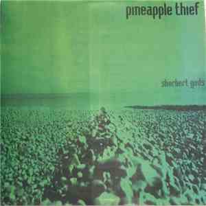 The Pineapple Thief - Sherbert Gods flac album