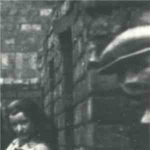 The Pirate Tom Gribbins - The Pirate Tom Gribbins flac album