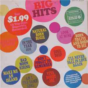 Unknown Artist - Big Hits flac album