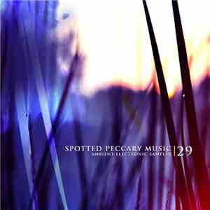Various - 29 - Free Ambient Electronic Sampler flac album