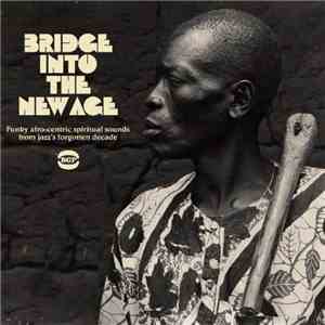 Various - Bridge Into The New Age flac album