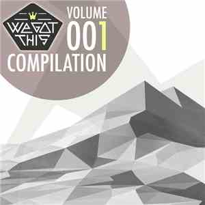 Various - We Got This Compilation - Vol. 001 flac album