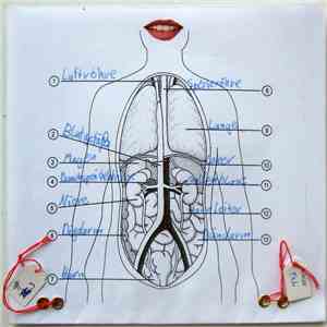 Amor Fati / C. Mehrl Bennett / The New Blockaders & Kommissar Hjuler - An Empty Sunshine Day flac album